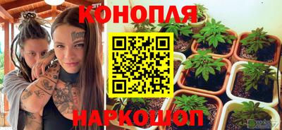 СК Краснознаменск