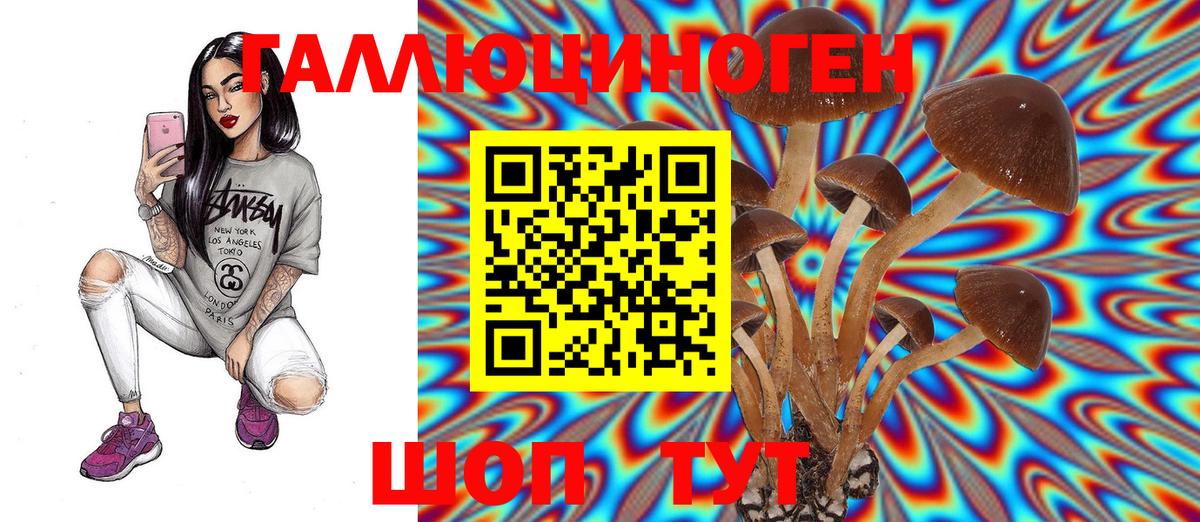 Галлюциногенные грибы Psilocybine cubensis  Галлюциногенные грибы Psilocybe  Вход с VPN  закладки  Кисловодск 