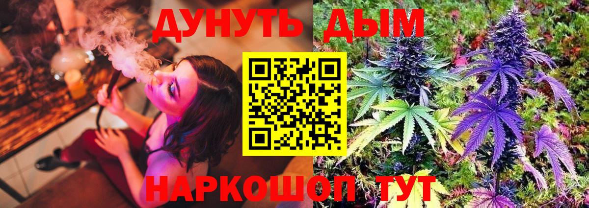 Канабис семена Кисловодск
